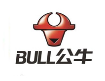 Bulls Group Co., Ltd.